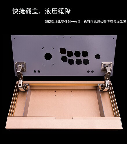 iron%20soul%20hinged%20fightstick%20case%20taobao%20TB2BGqAk_nI8KJjSszgXXc8ApXa_!!3609598196