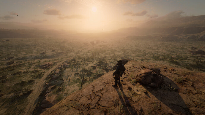 Red Dead Redemption 2 Screenshot 2020.07.16 - 22.47.59.45