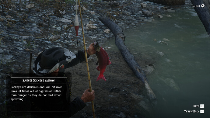 Red Dead Redemption 2 Screenshot 2020.07.21 - 20.55.39.16