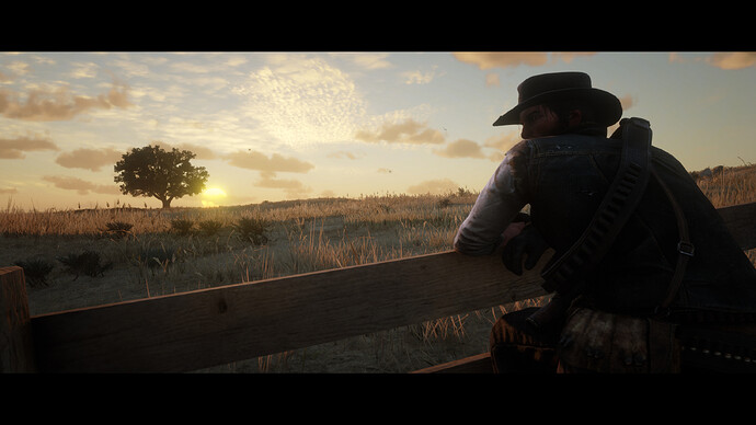 Red Dead Redemption 2 Screenshot 2020.07.18 - 15.41.49.51