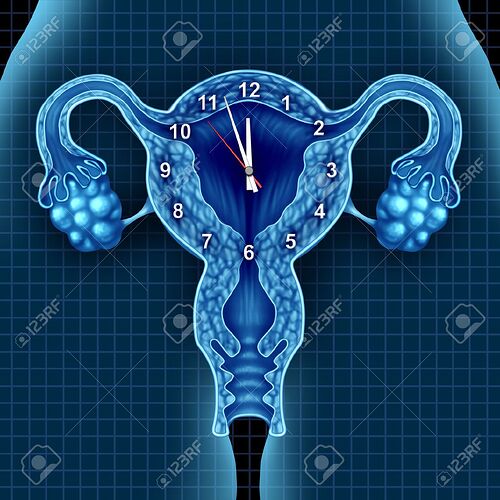 27658791-biological-clock-ticking-concept-with-a-time-piece-over-human-uterus-and-ovaries-as-a-fertility-meta