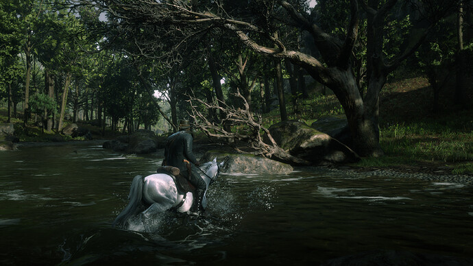 Red Dead Redemption 2 Screenshot 2020.07.15 - 22.11.51.87