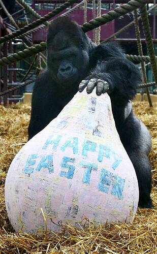 rs_634x1024-140418143801-634.Easter-Silverback-Gorilla-Egg-England.ms.041814