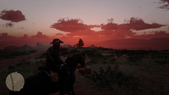 Red Dead Redemption 2 Screenshot 2020.07.26 - 21.29.36.98