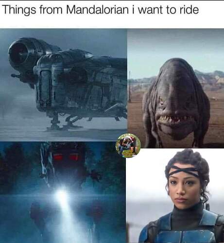 FB_IMG_1608339307720