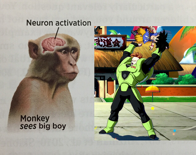 monkeybigboy