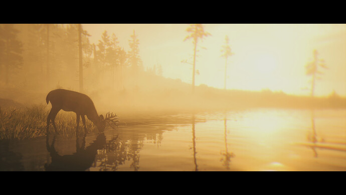 Red Dead Redemption 2 Screenshot 2020.07.06 - 00.27.35.82