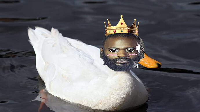 DaveTheKingOfDucking
