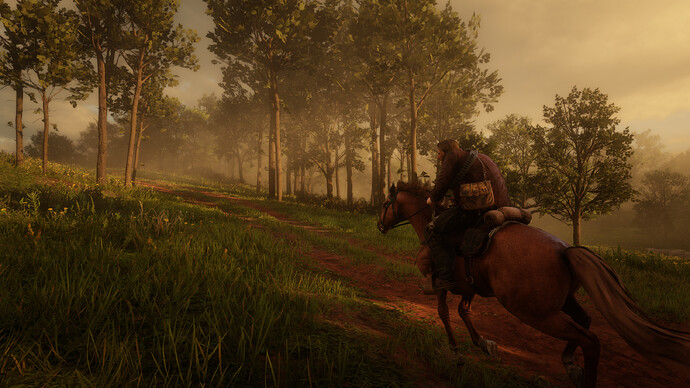 Red Dead Redemption 2 Screenshot 2020.06.18 - 22.29.51.50