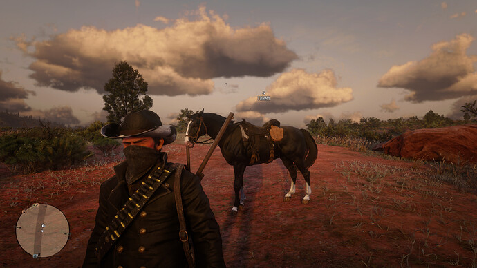 Red Dead Redemption 2 Screenshot 2020.07.26 - 21.28.23.08