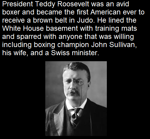 teddy