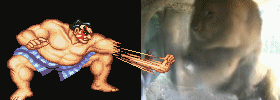 43e6f2131b8451a7f2478a60f2e2ea03-e-honda-vs-a-lion
