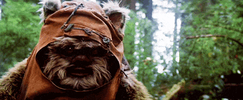ewok