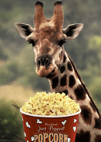 popconr